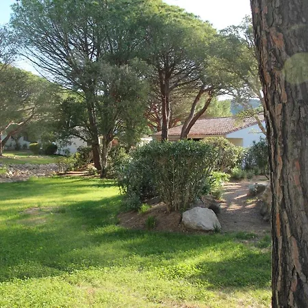 Les Pins De Santa Giulia *