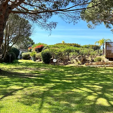 펜션 Les Pins De Santa Giulia 포르토베쉬오