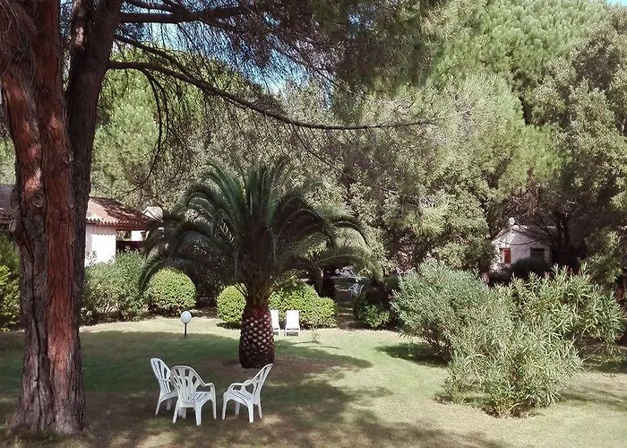 Les Pins De Santa Giulia *