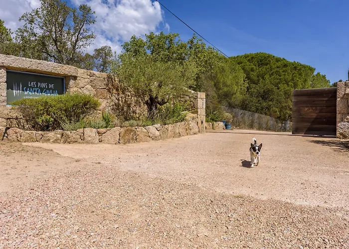 Hébergement de vacances Les Pins De Santa Giulia *