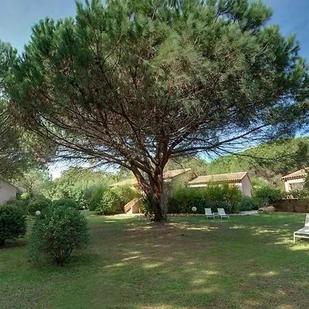 Les Pins De Santa Giulia