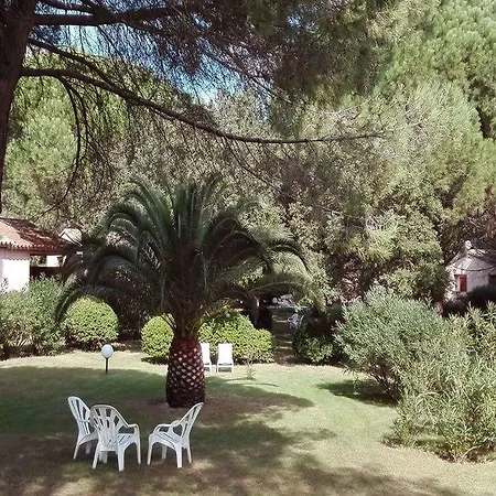 Les Pins De Santa Giulia *