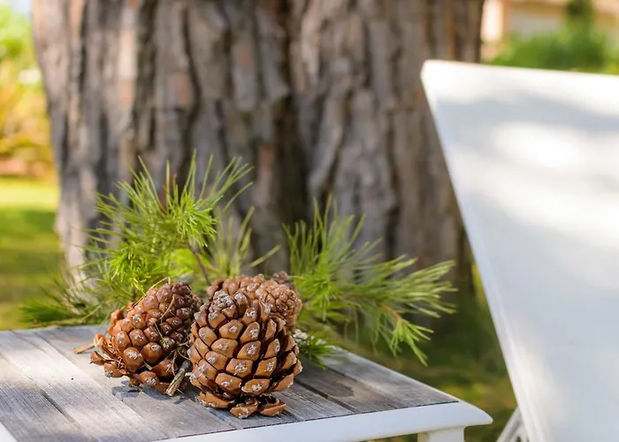 Les Pins De Santa Giulia * Porto-Vecchio (Corsica)